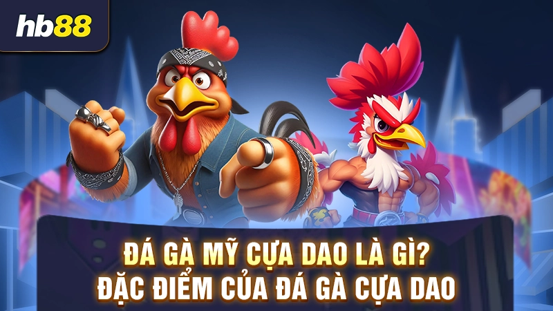 đá gà mỹ cựa dao