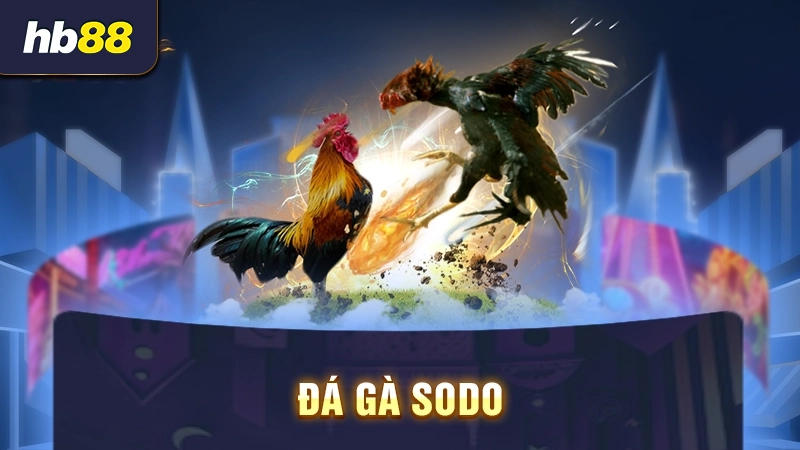 Đá gà Sodo