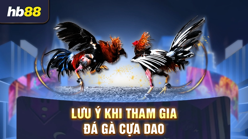Lưu ý đá gà cựa dao Mỹ