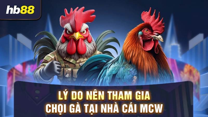 Lý do nên tham gia chọi gà tại nhà cái MCW