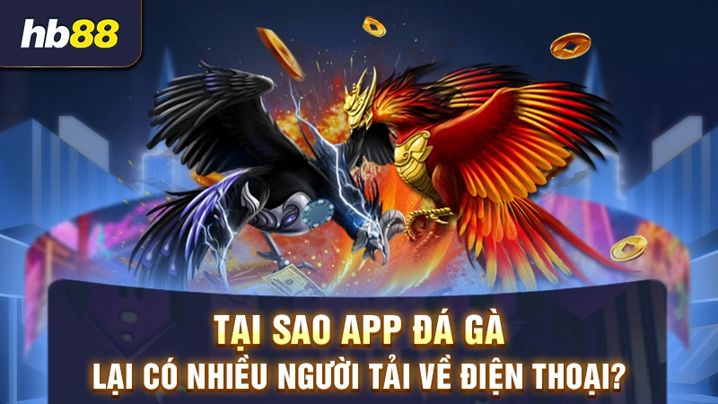 App đá gà trực tiếp được nhiều người lựa chọn